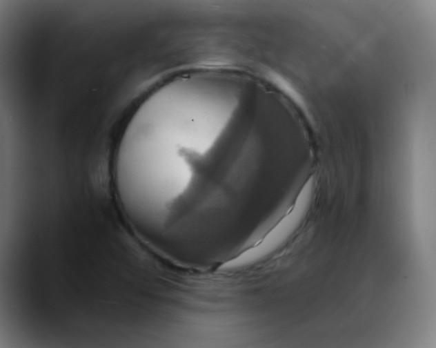 X0000089731456200707121440