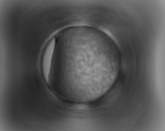 X0000089731460200707121440