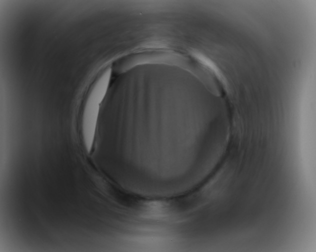 X0000089731461200707121440