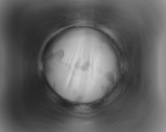 X0000089731462200707121440