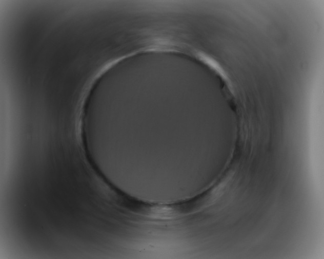 X0000089731463200707121440