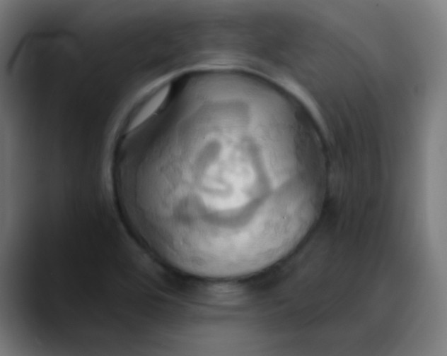 X0000089731464200707121440