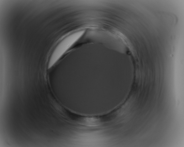 X0000089731465200707121440