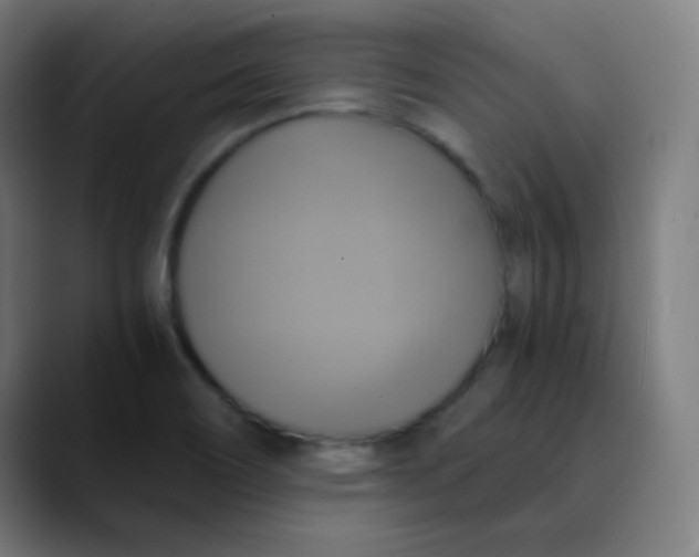 X0000089731466200707121440
