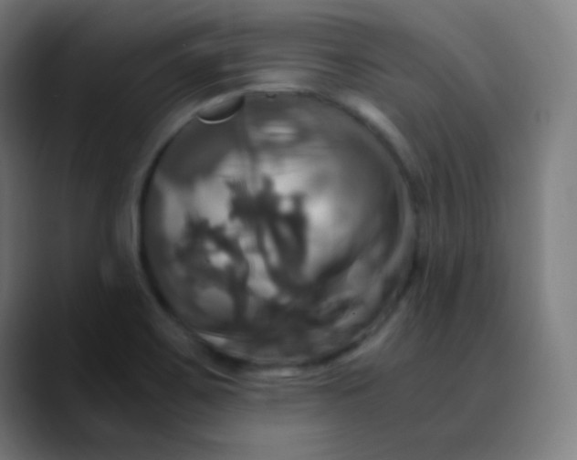 X0000089731467200707121440