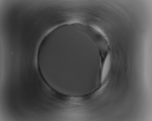 X0000089731469200707121440
