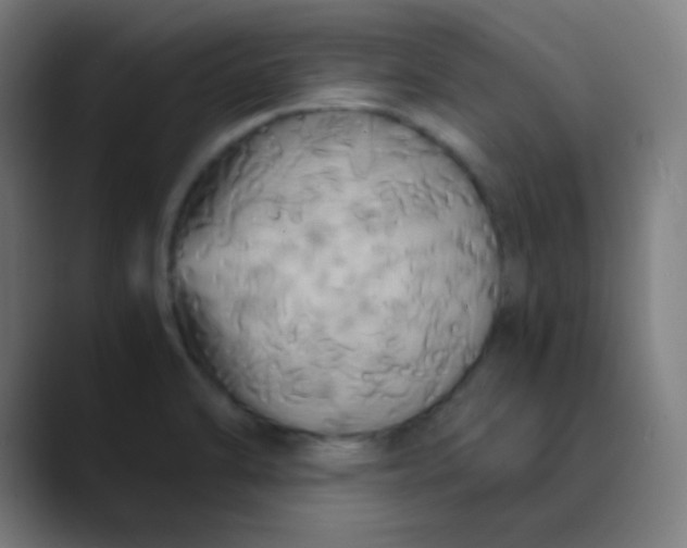 X0000089731470200707121440