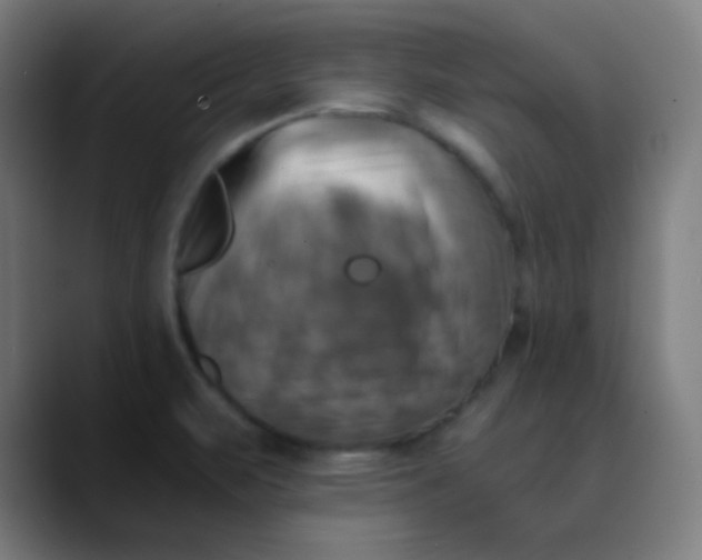 X0000089731471200707121440
