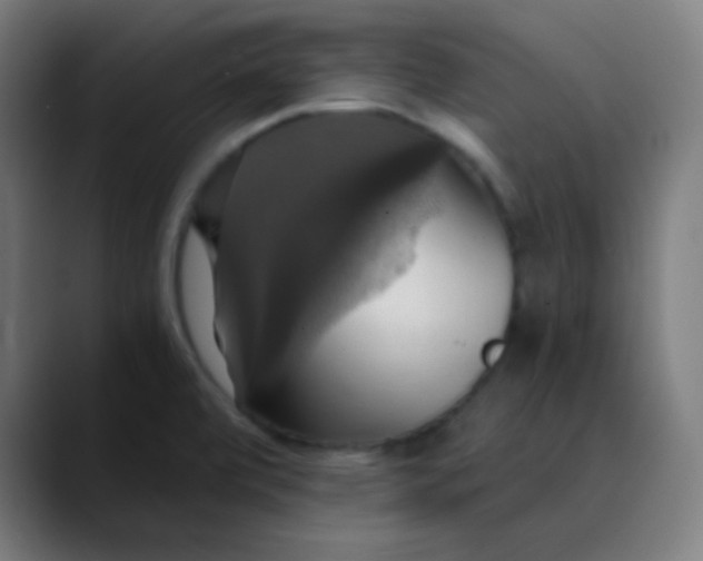 X0000089731472200707121440