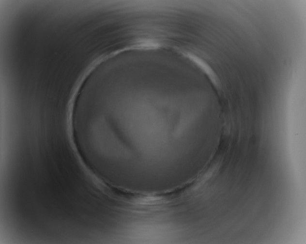 X0000089731475200707121440