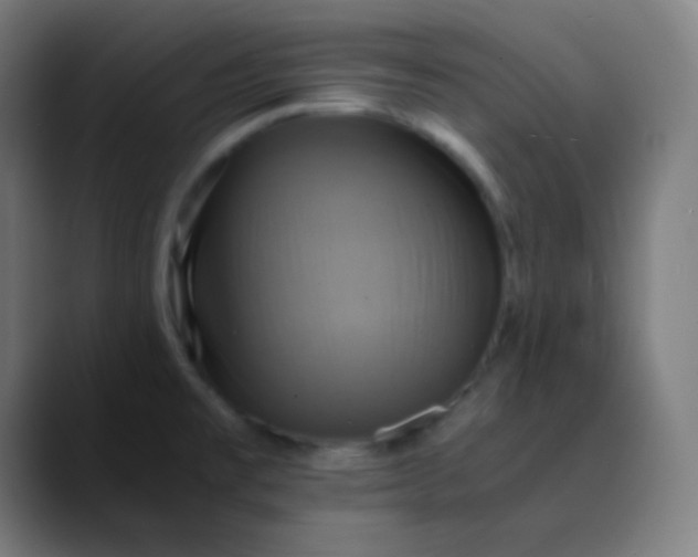 X0000089731477200707121440