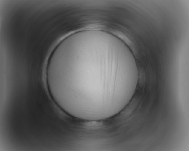 X0000089731478200707121440