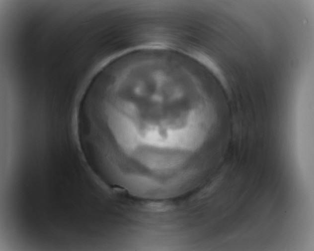 X0000089731480200707121440