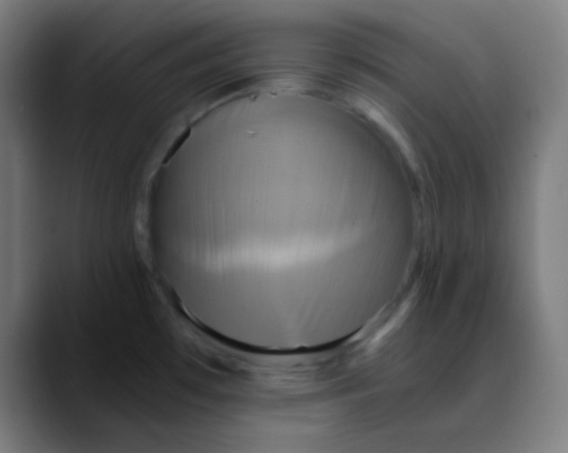 X0000089731481200707121440