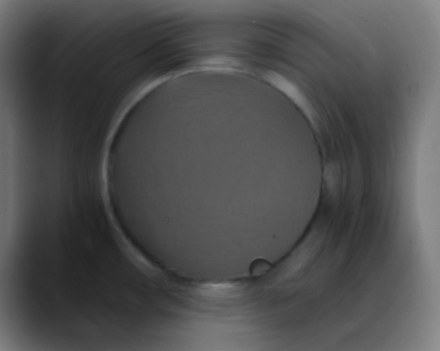 X0000089731482200707121440