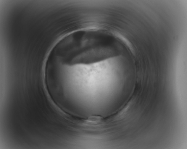 X0000089731483200707121440