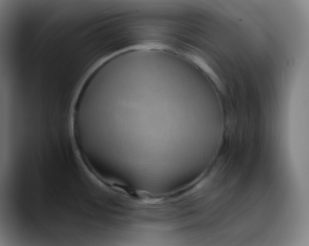 X0000089731484200707121440