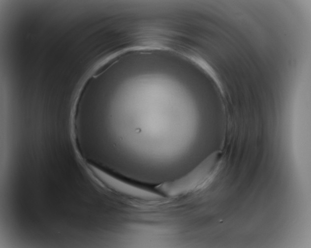 X0000089731485200707121440
