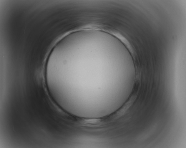 X0000089731486200707121440