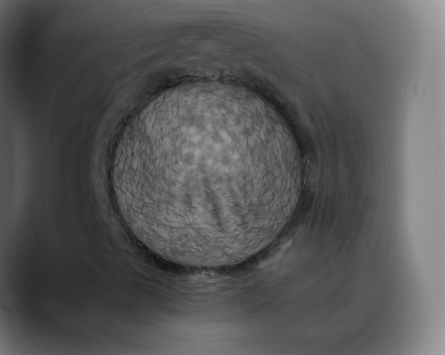 X0000089731489200707121439