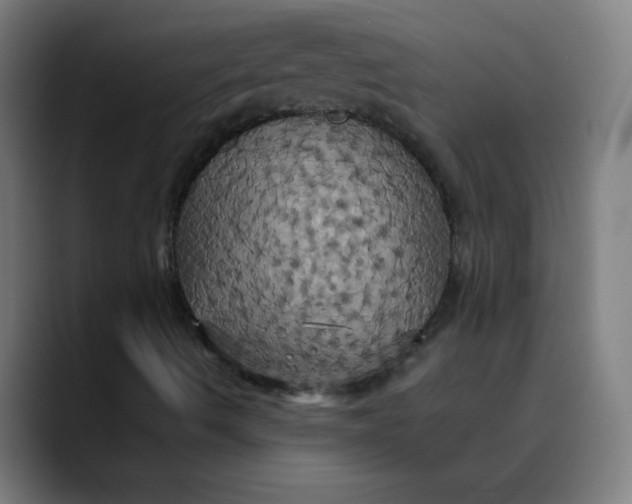 X0000089731490200707121439