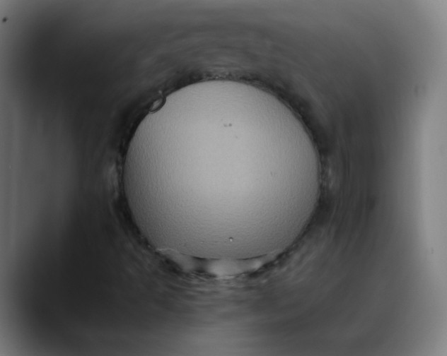 X0000089731493200707121439