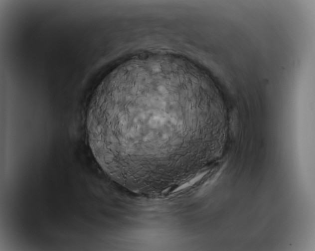 X0000089731494200707121439