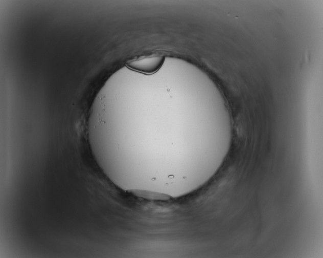 X0000089731495200707121439