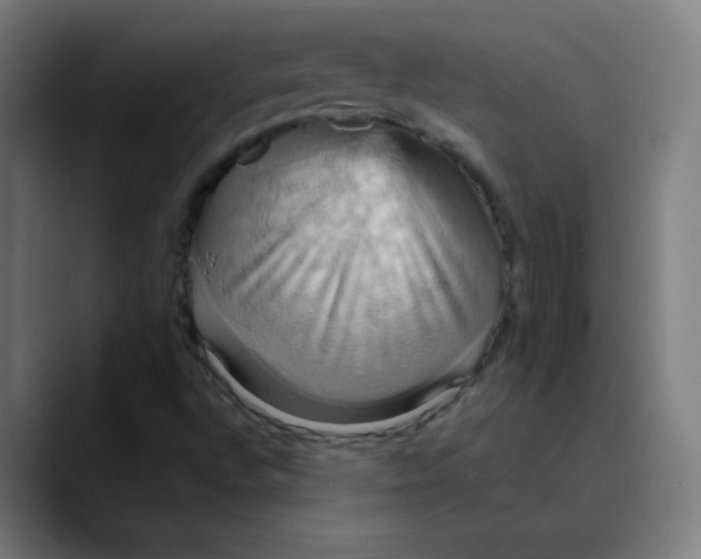 X0000089731496200707121439