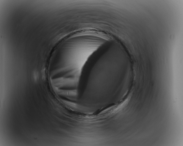 X0000089731497200707121439