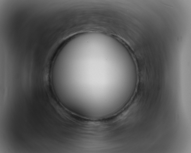 X0000089731499200707121440