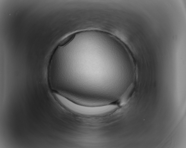 X0000089731500200707121440
