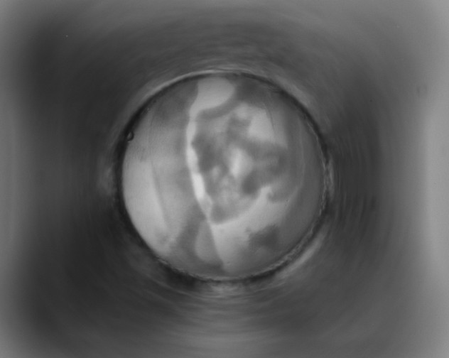 X0000089731501200707121440