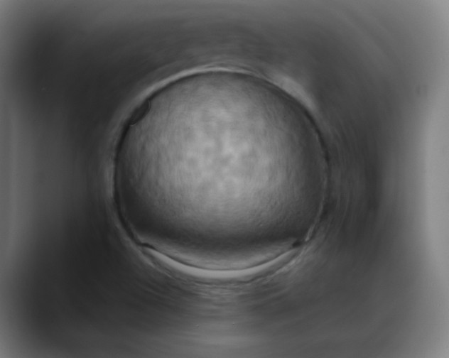 X0000089731504200707121440