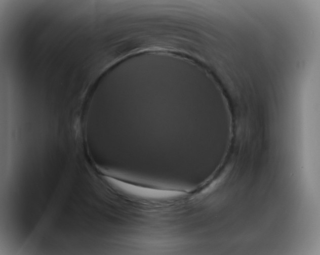 X0000089731505200707121440