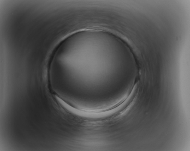 X0000089731506200707121440