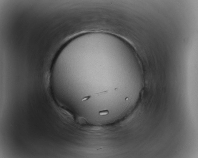 X0000089731507200707121440