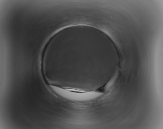 X0000089731508200707121440