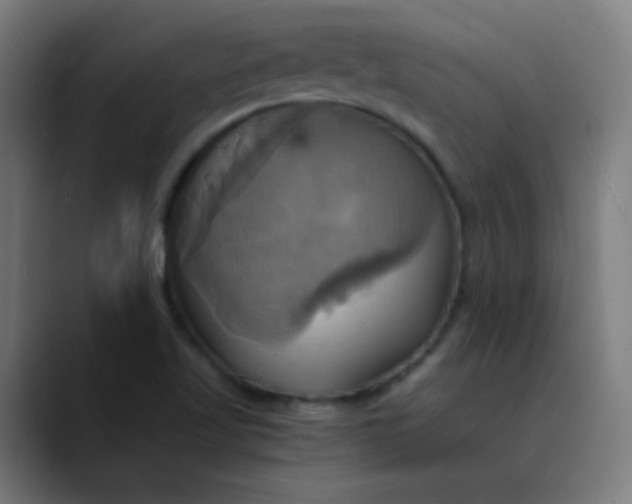 X0000089731509200707121440