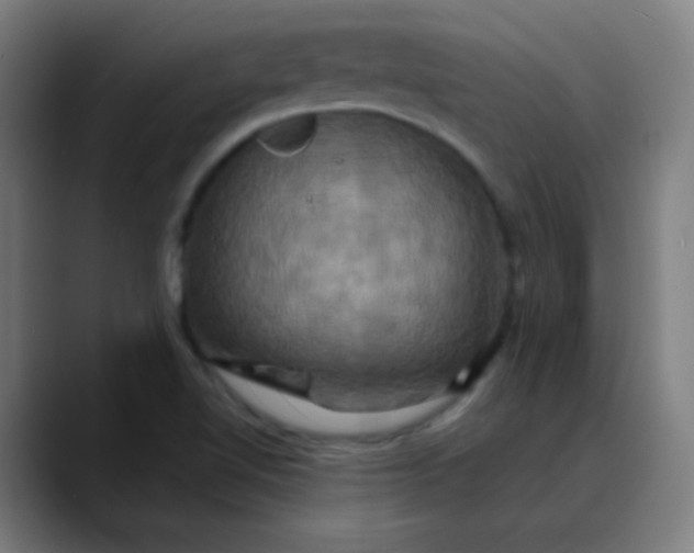 X0000089731510200707121440