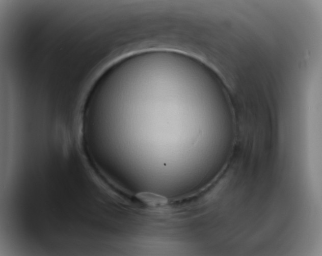 X0000089731511200707121440