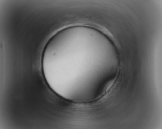X0000089731512200707121440