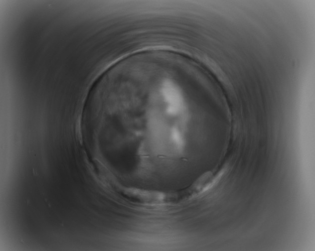 X0000089731513200707121440