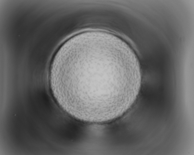 X0000089731514200707121440