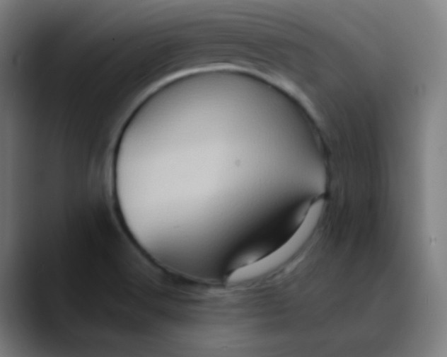 X0000089731516200707121440