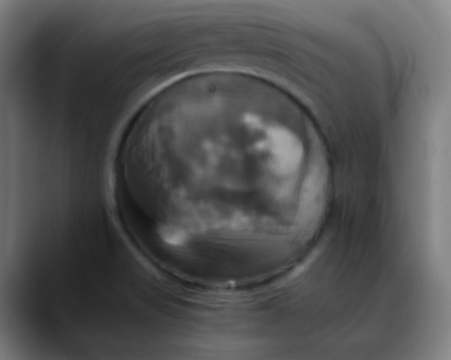 X0000089731517200707121440