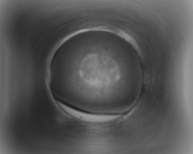 X0000089731520200707121440