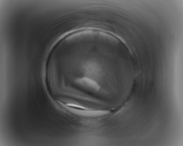X0000089731523200707121440