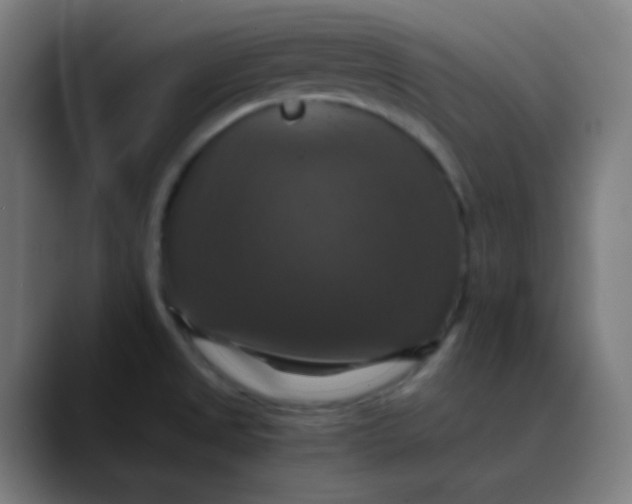 X0000089731525200707121440