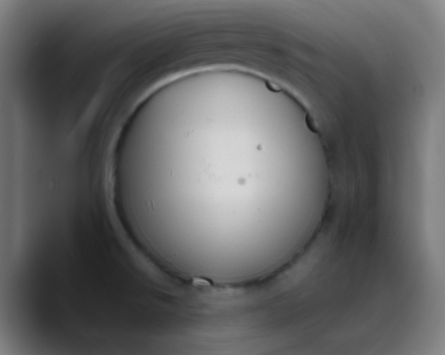 X0000089731526200707121440
